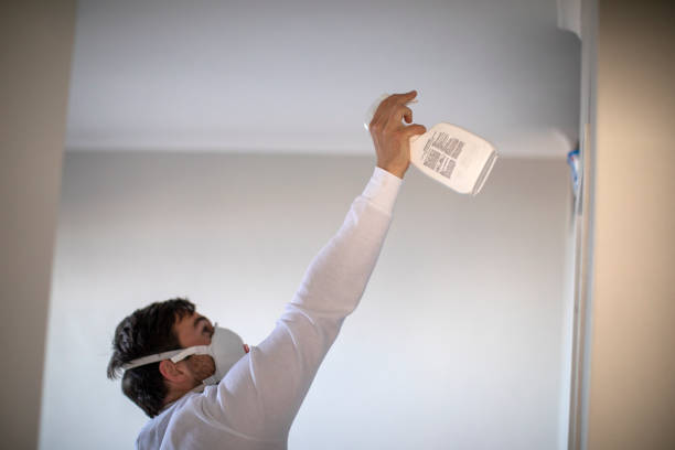 Best Mold Remediation Experts  in Jonestown, PA