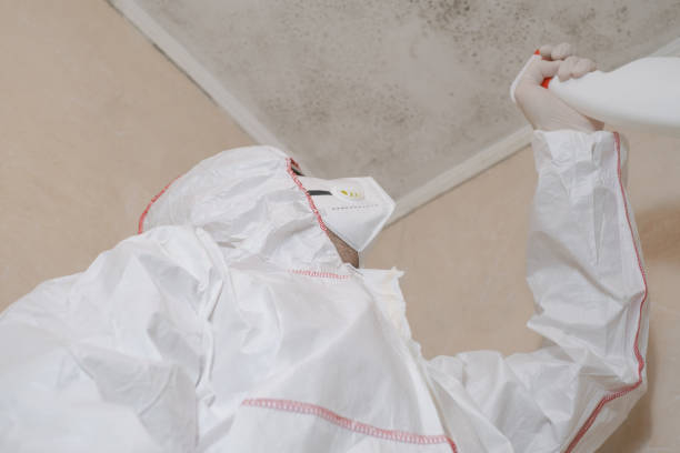 Best Mold Cleaning Services  in Jonestown, PA