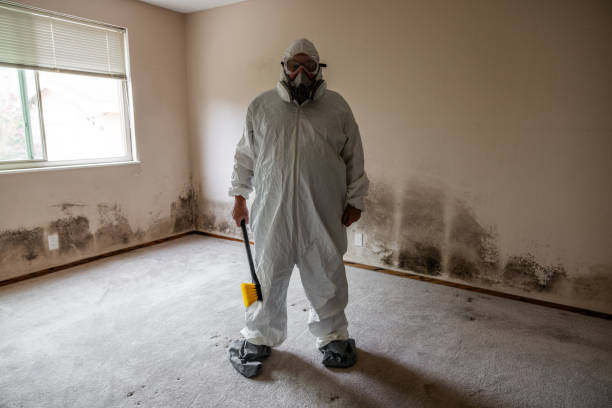 Best Residential Mold Removal  in Jonestown, PA