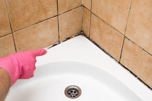 Best Certified Mold Removal  in Jonestown, PA